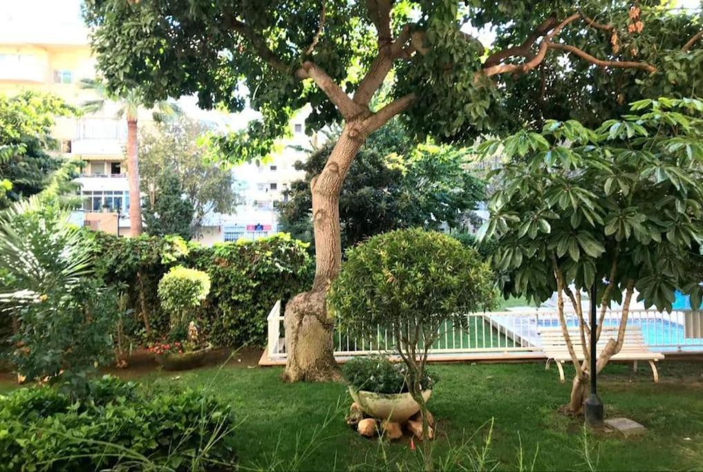 Appartement With Free Parking And Pool Marbellac